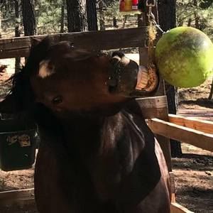 Meet your Posher, Denise